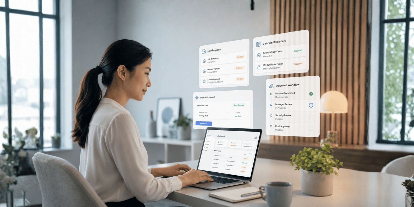 Domain Name Renewal Tracking