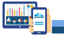 bizcloud app with hr software multiple reports in bizcloud app